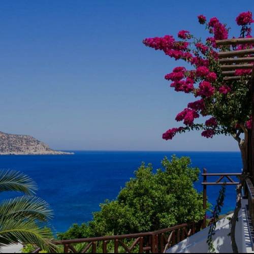  سیاه میشه لبای صورتی هممون هممون وایمیسه قلب زیر یقمون